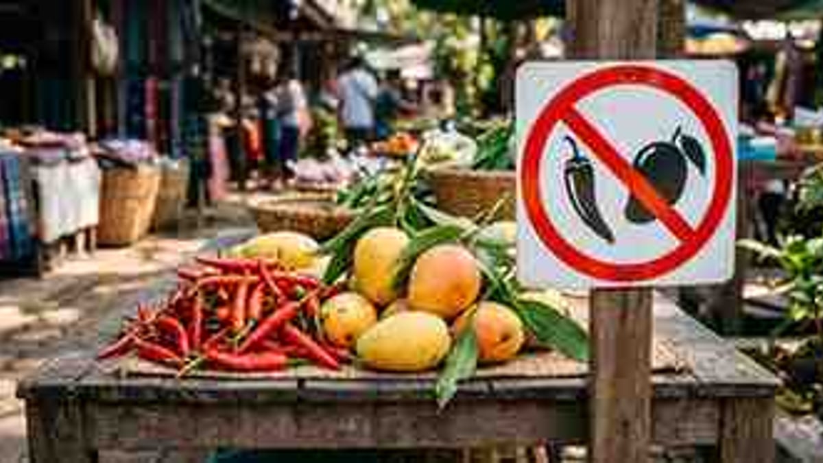 China Rejects Indian Chilli Japan And Nepal Rejected Indian Mangoes Leaving Modi Govt External Policy In Chaos