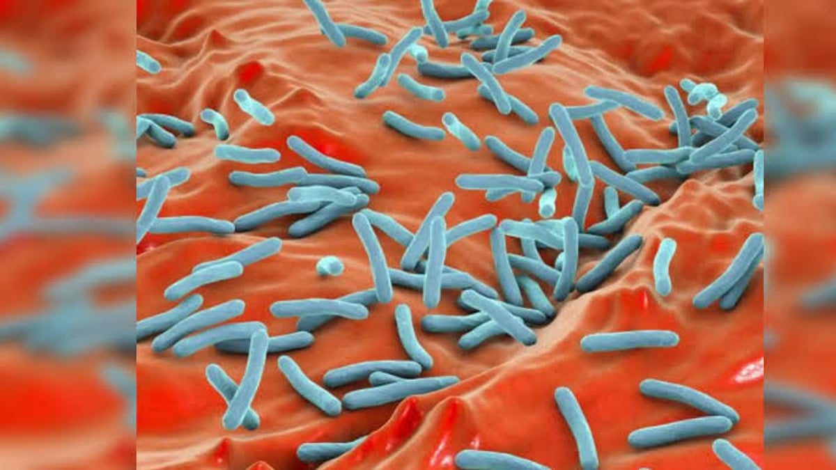 Scientists Correct Decades Old Misconception Over Key Tuberculosis Gene Function