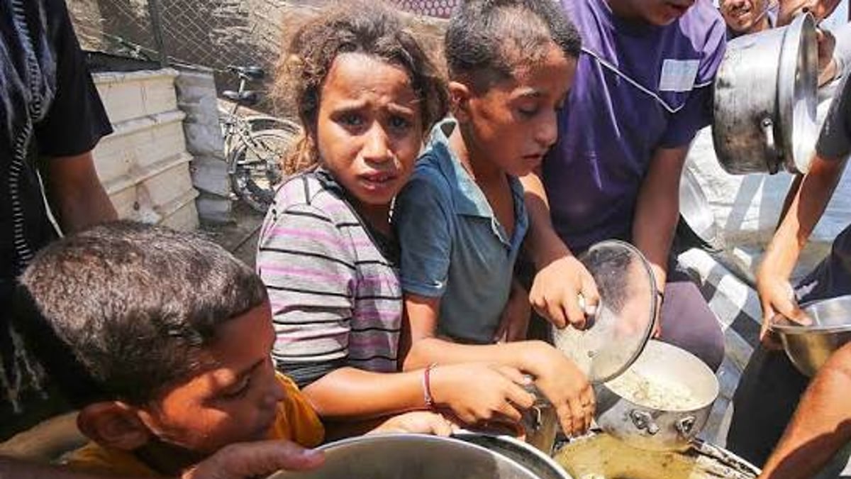 World Food Programme Cuts Food Aid To 500000 Palestinians In Gaza Due To Severe Global Funding Shortages