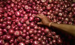 Modi Govt. bans onion exports. farmers on protest.