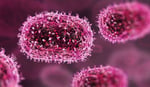 Pakistan Reports Three Cases of the Fatal Mpox Virus