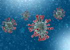 A New Study Reinforces the Natural Origin of COVID-19