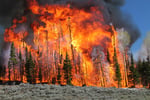 UNCCD Report Reveals Worsening Global Drylands Expansion and Growing Climate Crisis Threat