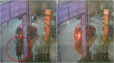 Noida Woman in BMW Caught on Camera Stealing Flower Pot; Video Sparks Outrage Online
