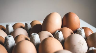 PV Sindhu Shares Her Diet Secrets: How She Ensures Protein Intake in Every Meal