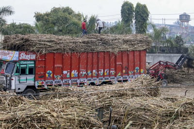 India Allows 1 Million Metric Tons of Sugar Exports as Supply Remains Sufficient