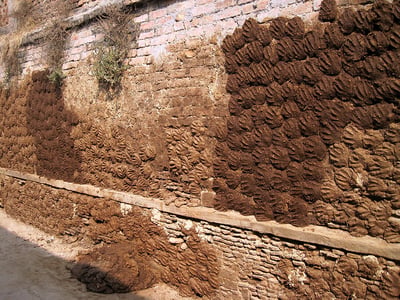 “Principal Puts Cow Dung on Wall for Cooling, DU Student Chief Returns Favour by Applying Cow Dung on Principal’s Office Wall”