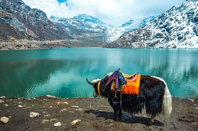 Top 50 Places to Visit in North East India That Every Traveler Must Explore in 2025