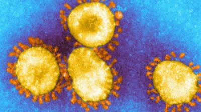 2021- Will we see a new version of coronavirus?
