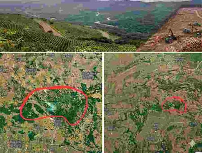 Adani Group Plants Over 1 Million Trees To Make Chhattisgarh Coal Mine Green