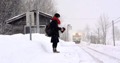 How the Beautiful Story of a Remote Japanese Train Station Kept Open for a Single Schoolgirl Changed Rural Aviation and Transit Policies