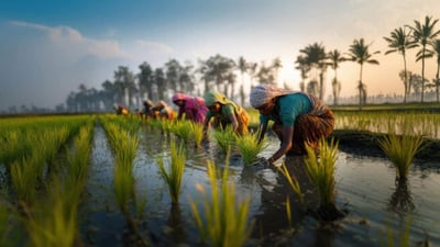 FCI Rice for Ethanol Supply Reaches 23 Lakh Tonnes as Centre Flags Grain Diversion Cases in Parliament