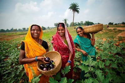 Women Choosing farmland over the corporate world.