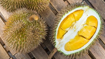Why is Nonthaburi durian so expensive? each fruit price $48000 (35.6 lakhs)