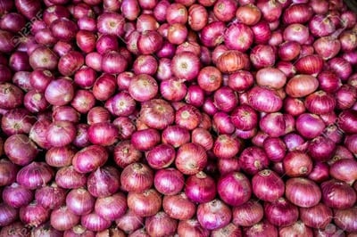 Onion Exports Face 40% Duty in India until December 31 to Stabilize Domestic Supply”