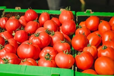 Tomato price drops from Rs 180 to 60 as supply increases.