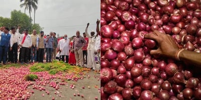 India- Maharashtra Onion Farmers Halt Auctions in Protest of 40% Export Duty Imposed by the Centre