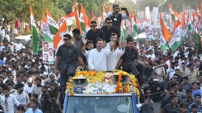 Congress is expected to win in the MP, Rajasthan and Chattisgarh elections, says surveys.