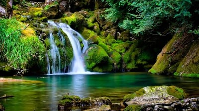 Tourist Places in Bangalore