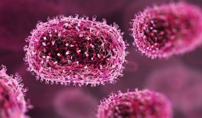 Pakistan Reports Three Cases of the Fatal Mpox Virus