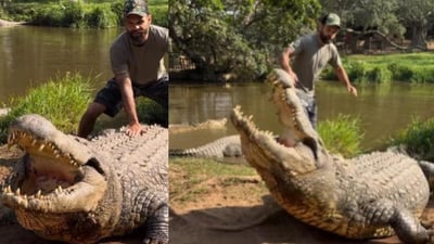 TV Host Robert Alleva Encounters ‘World’s Oldest Crocodile’ in Viral Clip