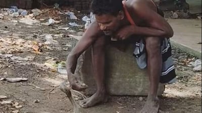 Drunk Man Plays with Cobra Like a Pet, Internet Reacts with Hilarious Comments