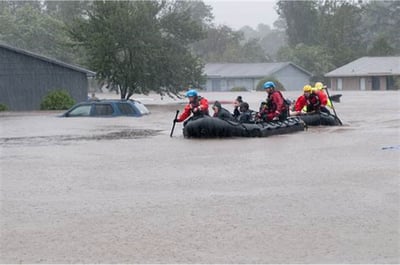 Animal Rescue Organization Faces Devastation After Hurricane Helene