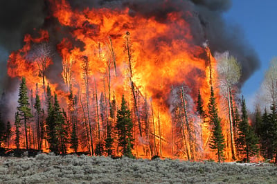 UNCCD Report Reveals Worsening Global Drylands Expansion and Growing Climate Crisis Threat
